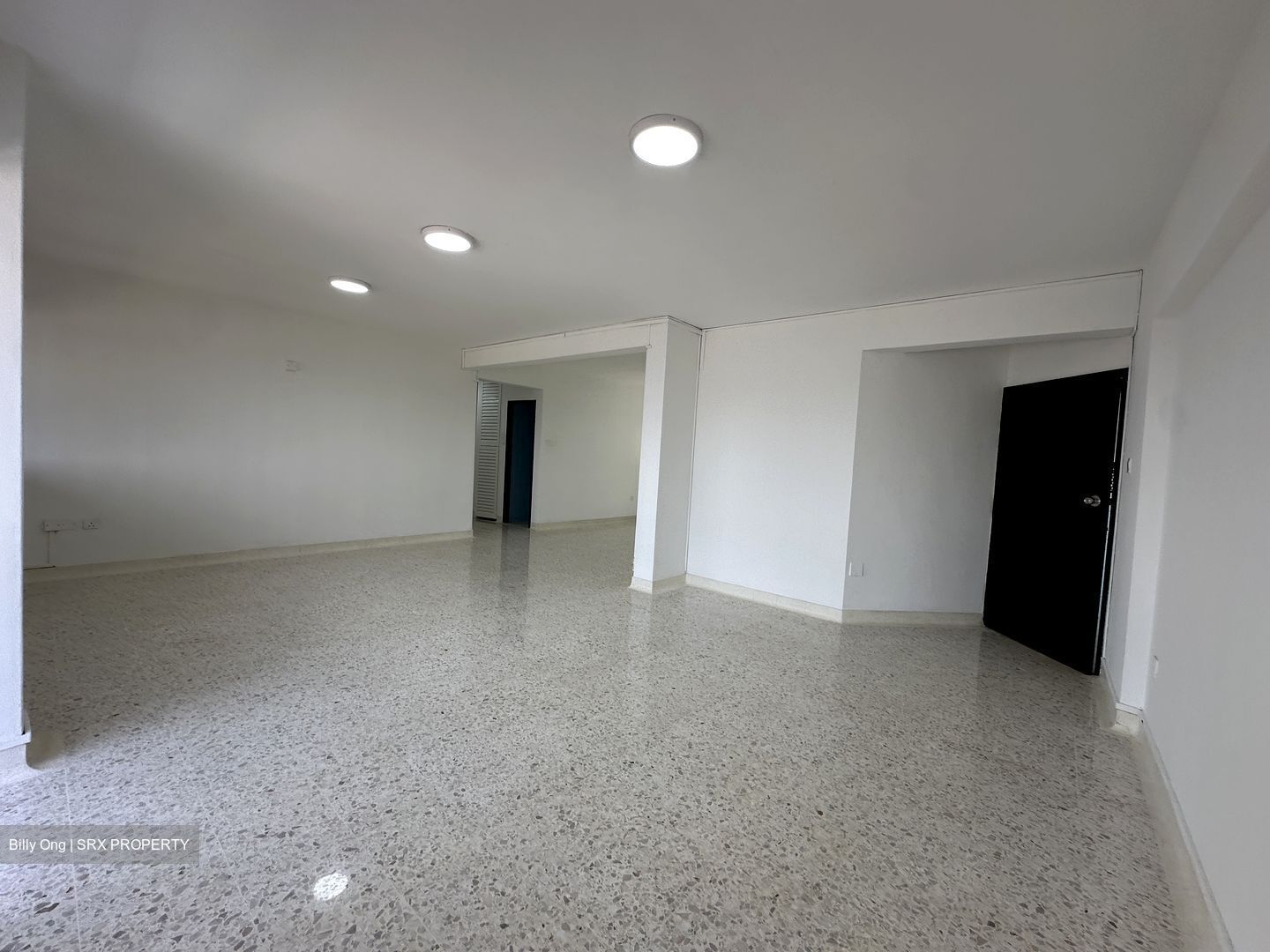 Braddell View (D20), Apartment #481368351